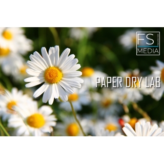 FS Paper Dry Lab 12,7 x 65 m Glossy